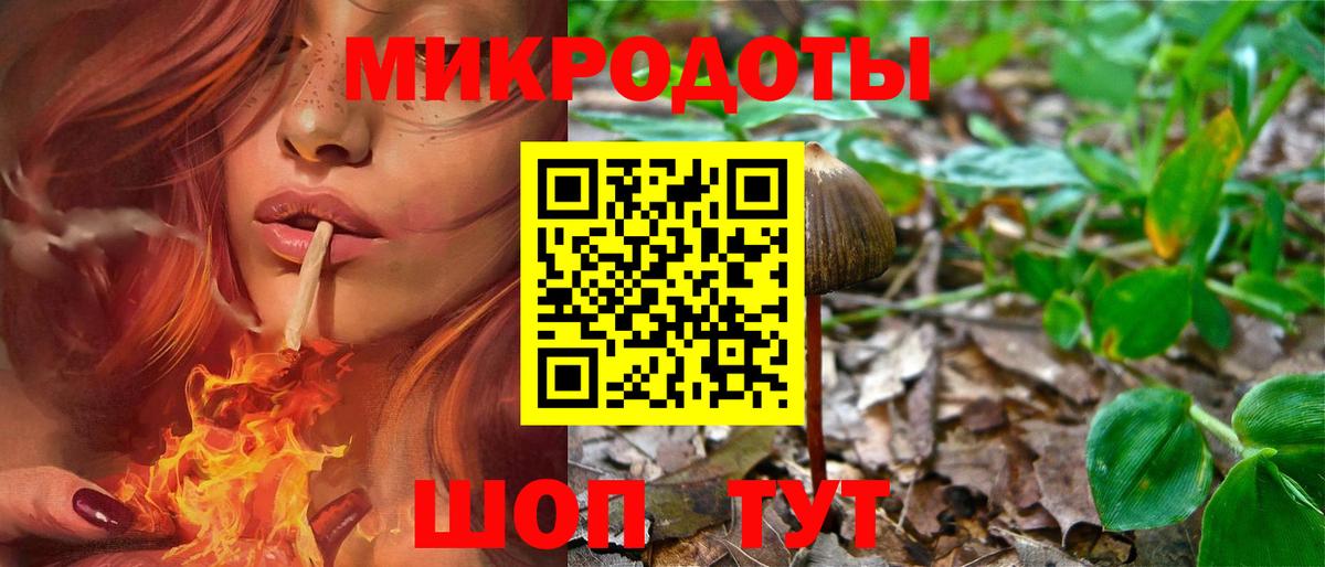 Галлюциногенные грибы мухоморы  Вход с VPN  Гурьевск 